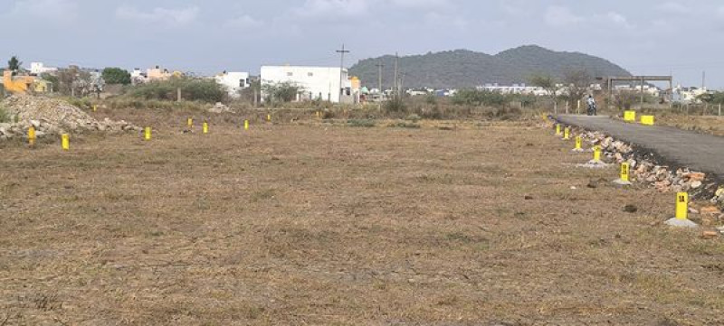 Plot sale