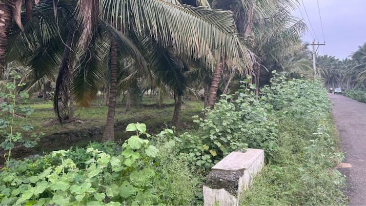 Single Property Image