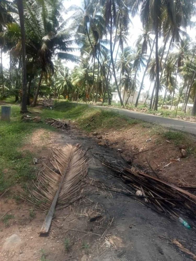 1.25 acre thoppu for sale