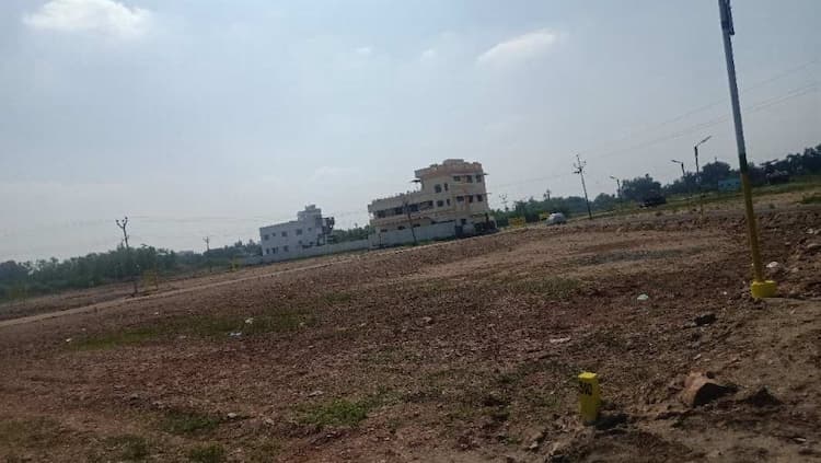 Residential Plot
