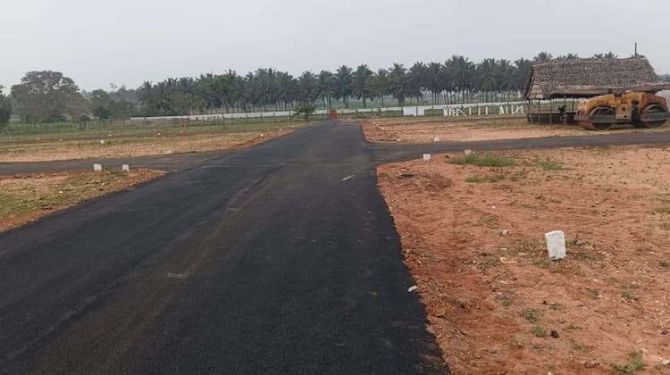 Single Property Image