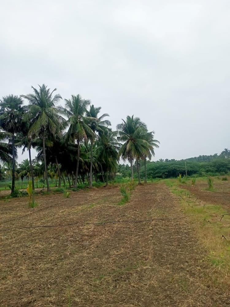 5.35 Acre Sales