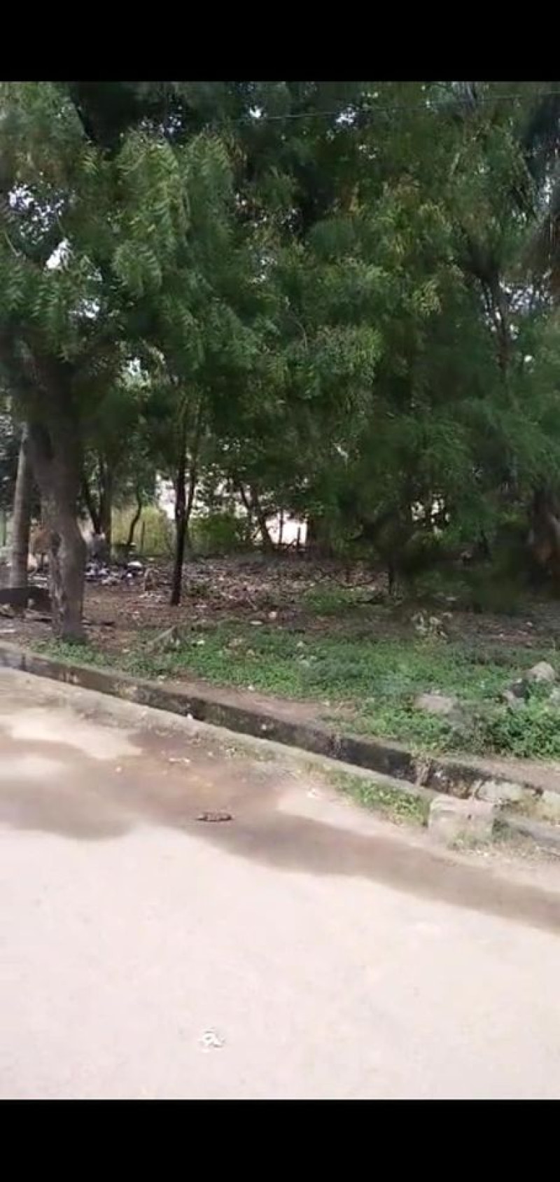 Land for sales