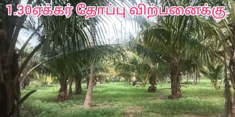 Land for Sale