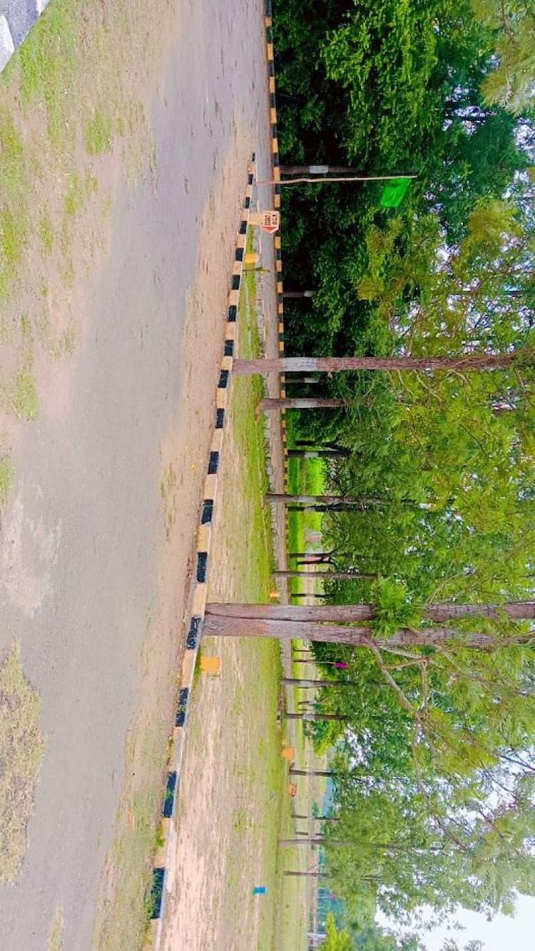 Plot for sale
