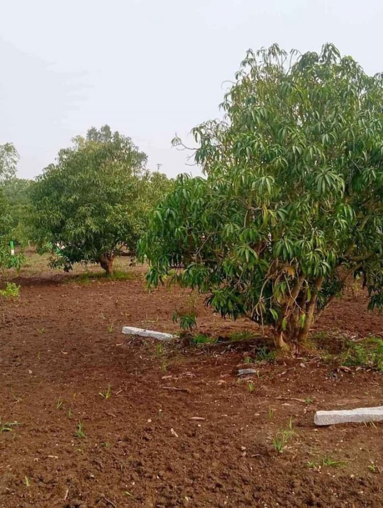 FARM LAND SALE