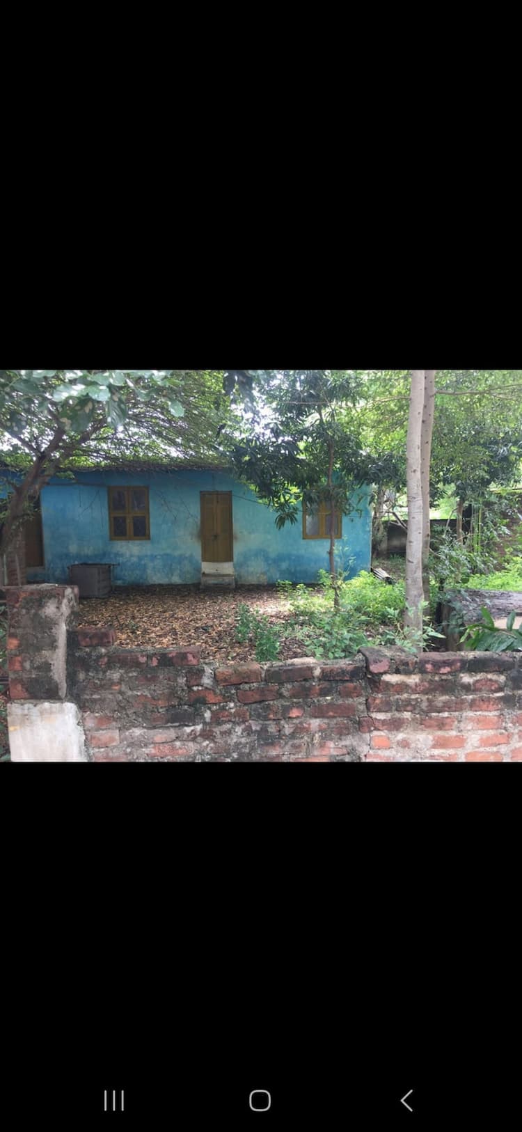 Land for sales