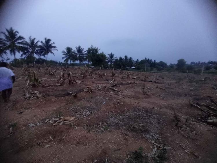 Land for sales