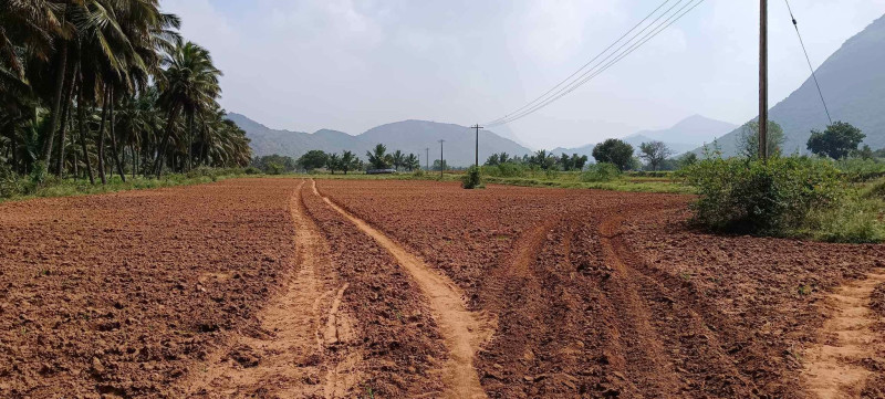 agri land for sale