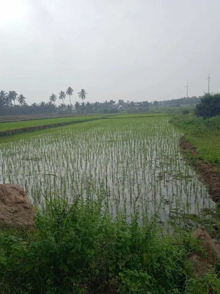 1.10 Acre Farm Land for Sale in Madathukulam