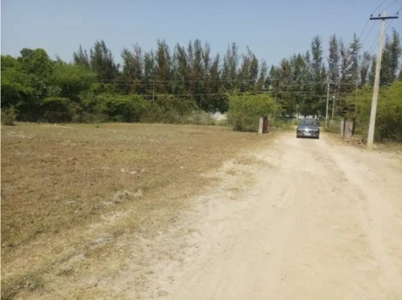 Agriculture Land for Sale