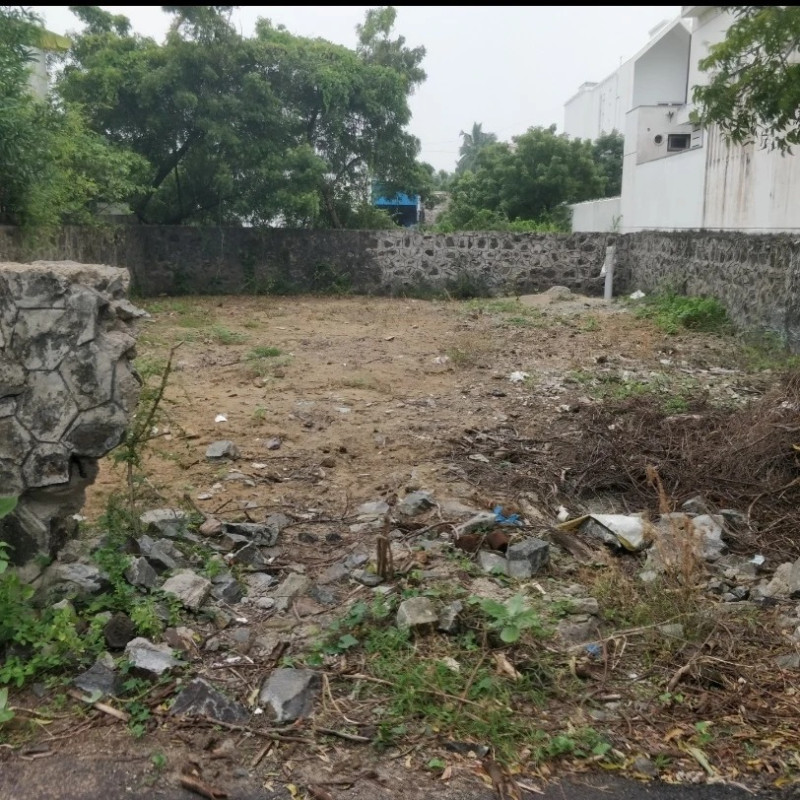 5.5 cent Plot