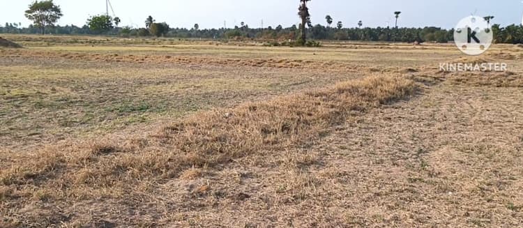 Farm Land for Sale