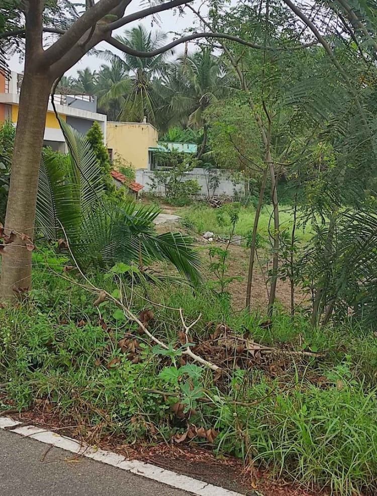 Single Property Image