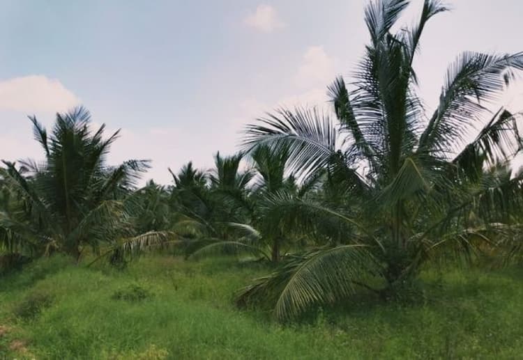 Single Property Image