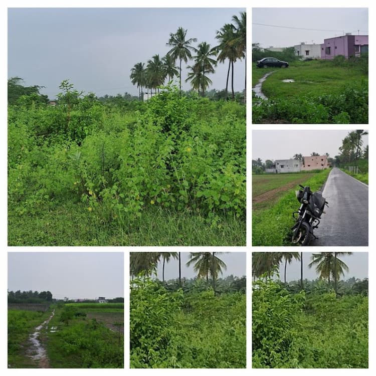 agri land for sale