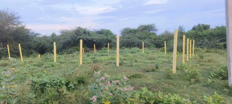 Plot sale