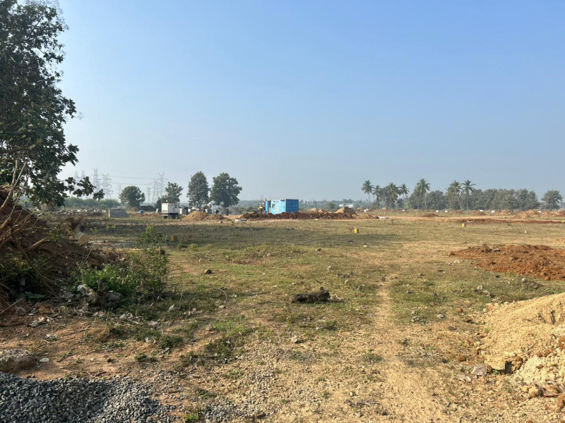 Residential Plot