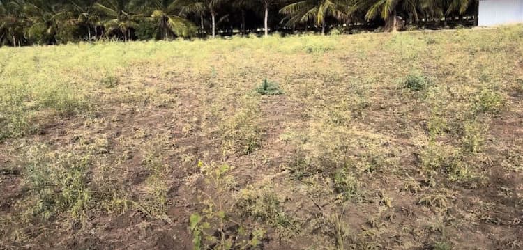 5 Acre Land for Sale