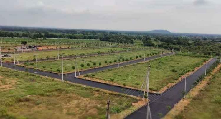 Plot sale