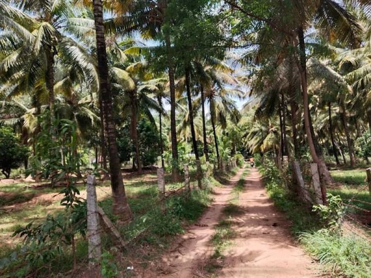 Single Property Image
