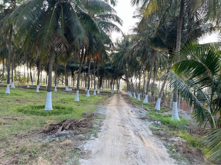 2.50 Acre Land for Sale