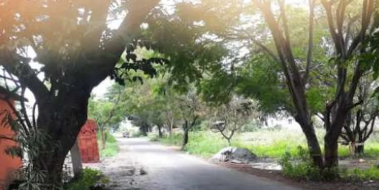 LAND FOR SALE