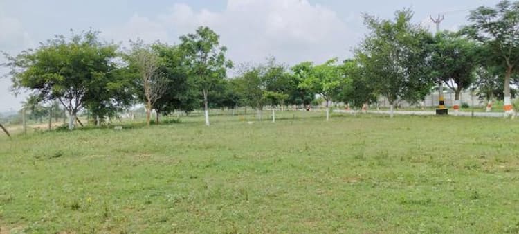 Plot sale