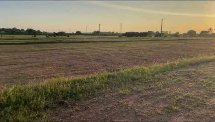 Plot sale