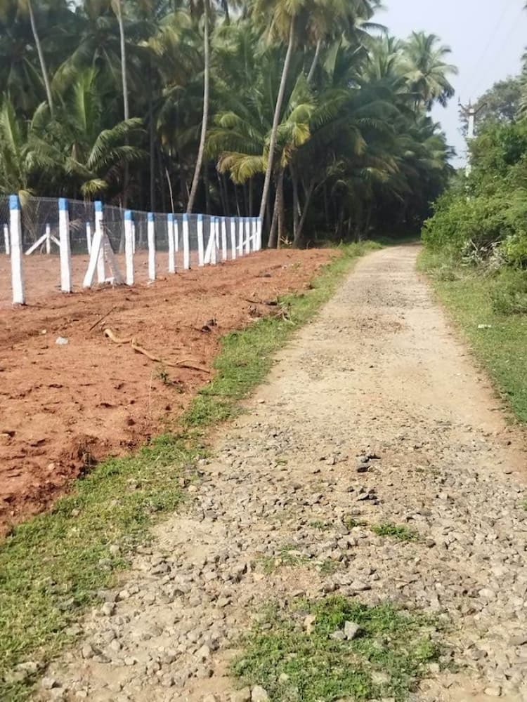 Single Property Image