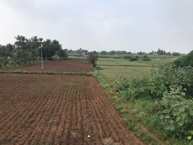 Agricultural Land