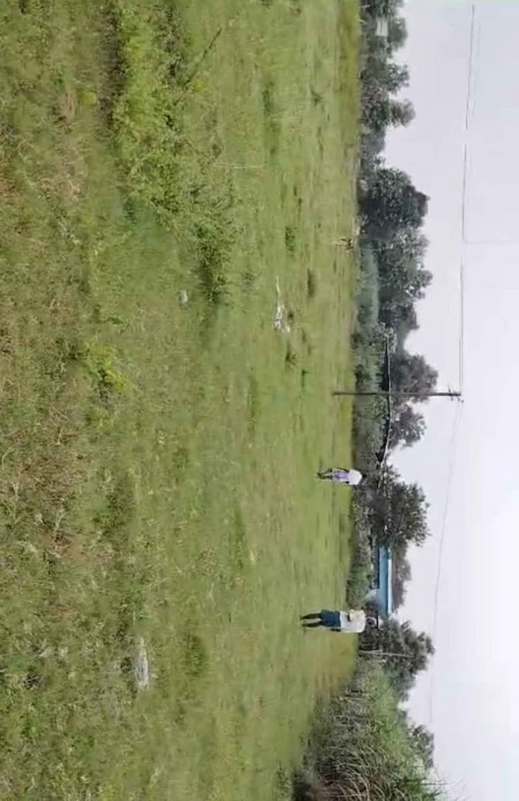   3 Acres Corner Punjai  Farm Land for Sale