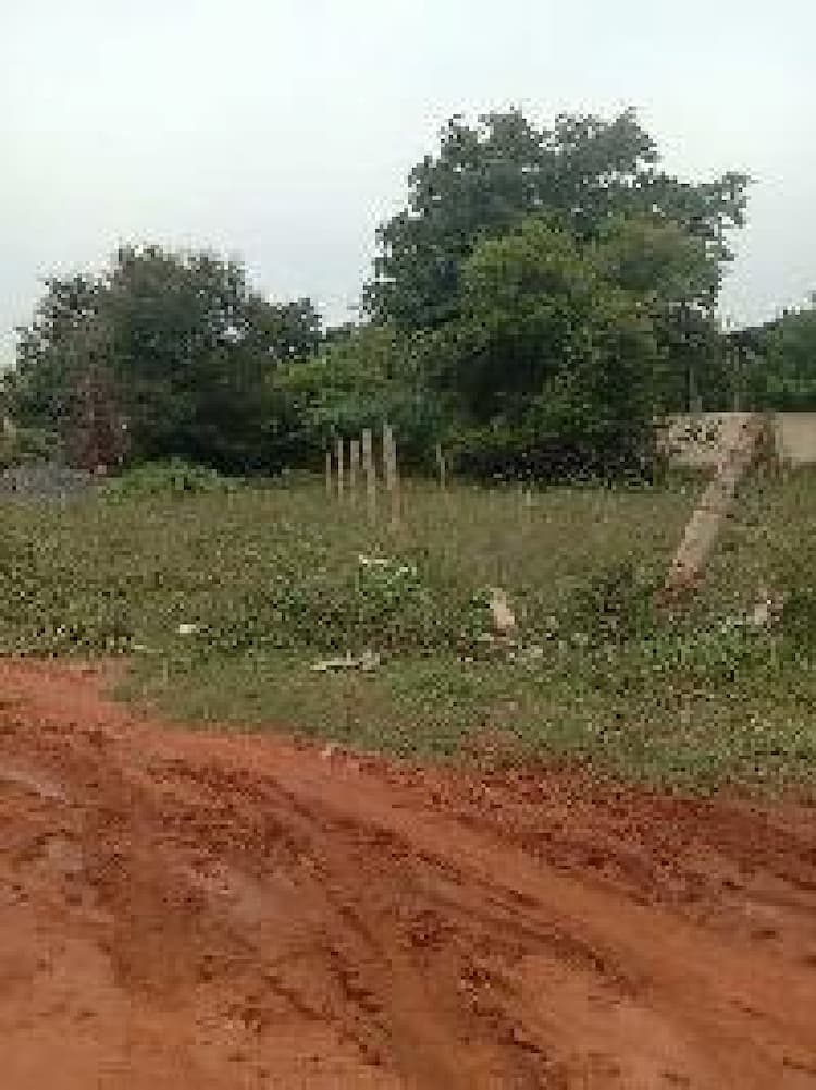land sale
