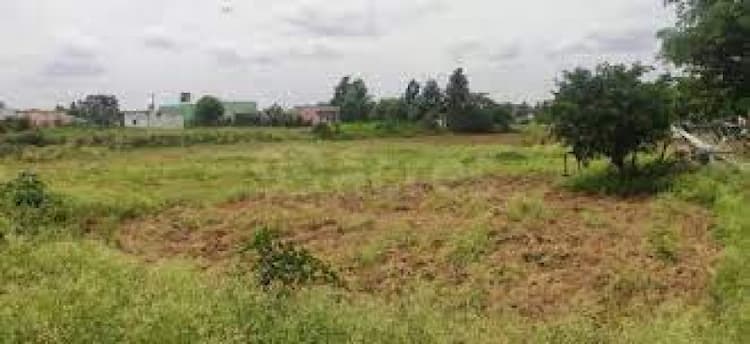 plot sale