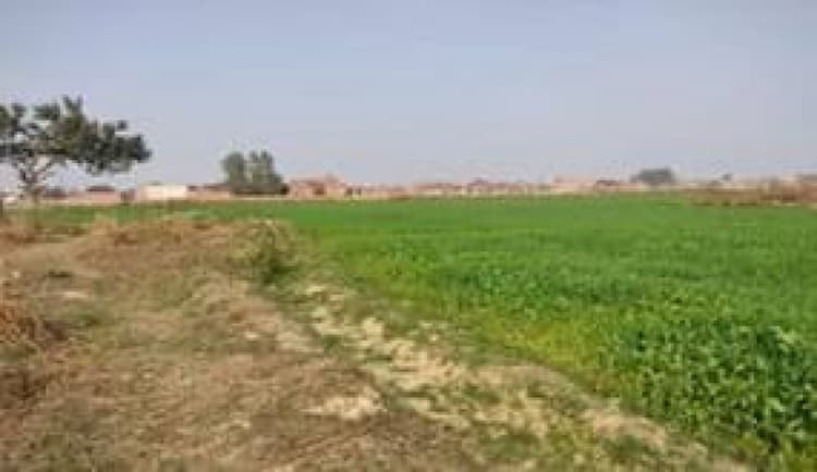 Plot for sale