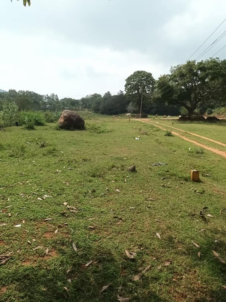 Single Property Image