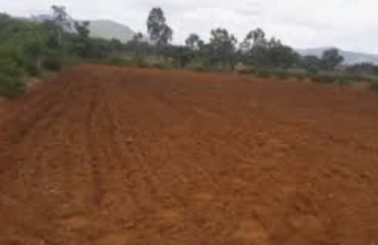 Land for sales