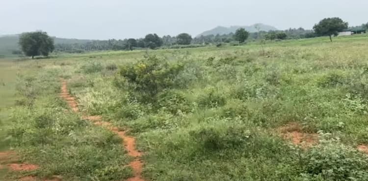 Low Budget Land for Sale