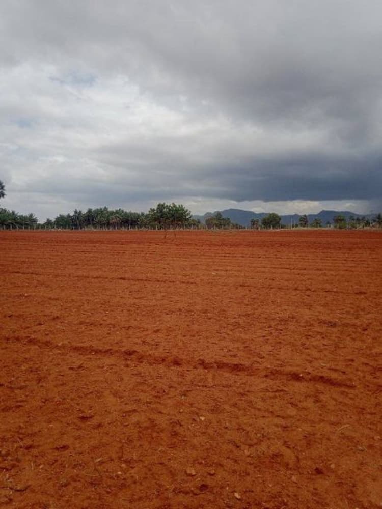 Low Budget Land for Sale