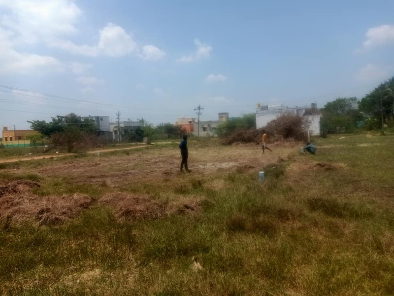 Land for sales