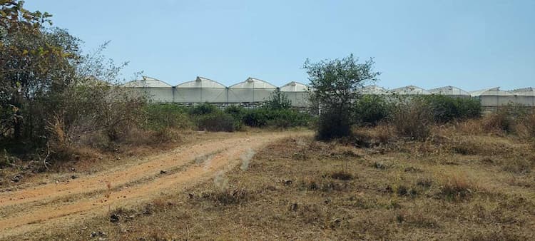 Plot sale