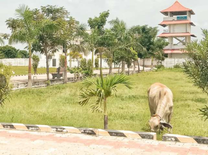 plot for sale 