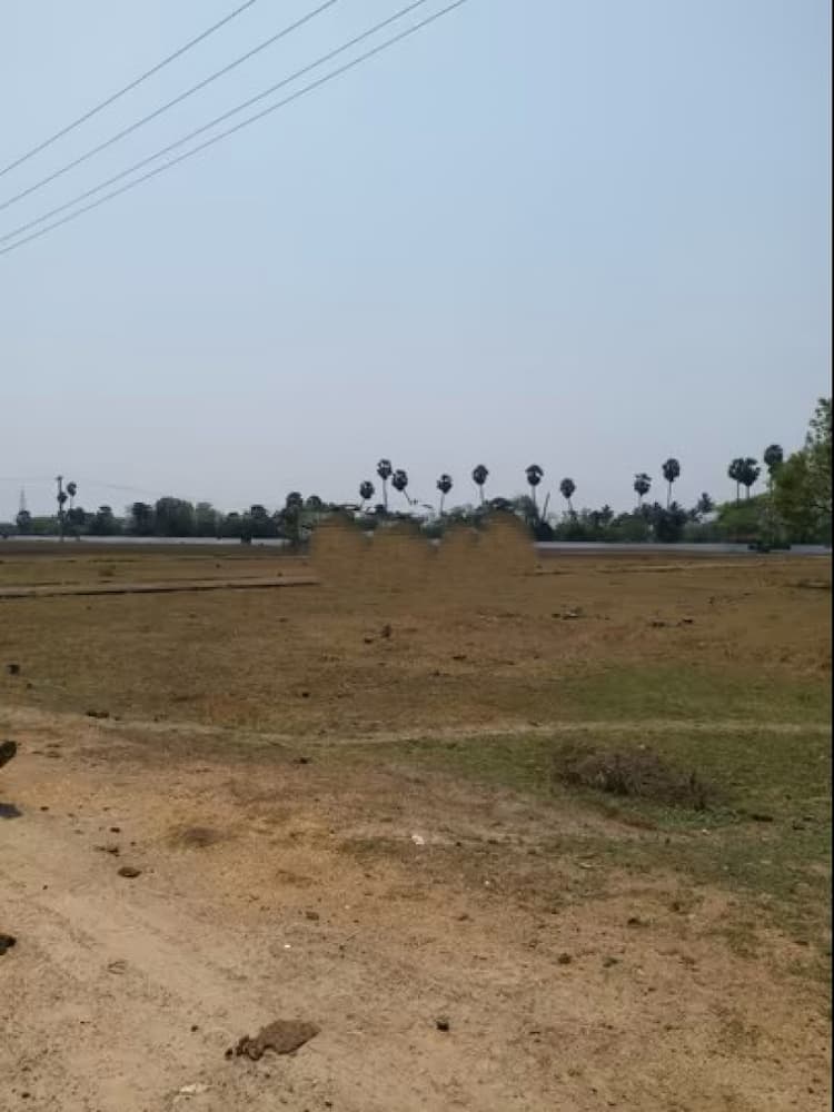 plot for sale