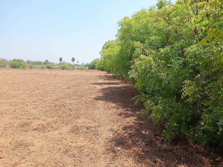 Land for sales