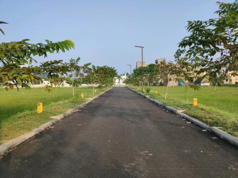 Residential Plot