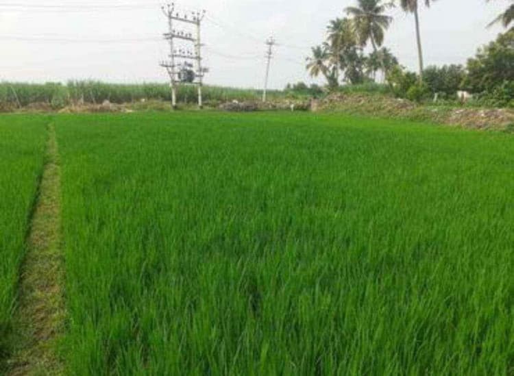 Single Property Image