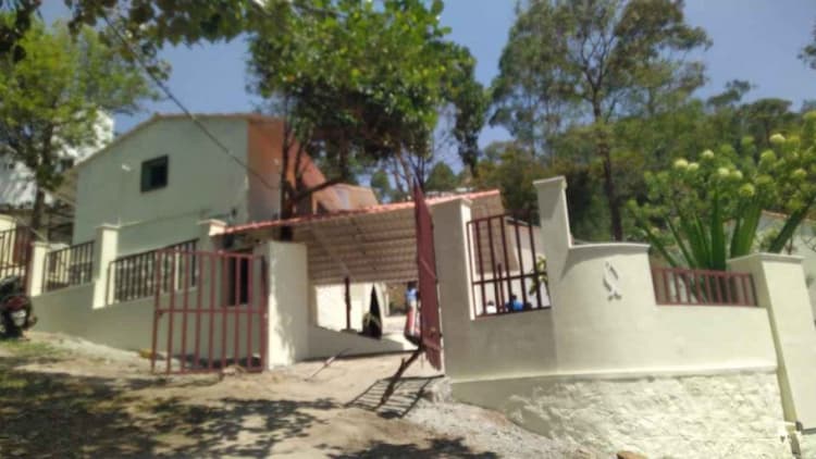 Tea Estate For Sale