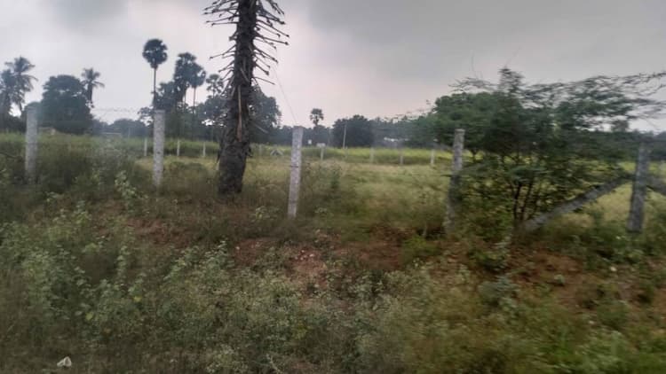 30 Cent Agri Land for Sale