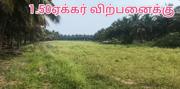 Land for Sale