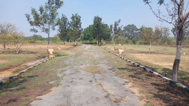 Plot sale